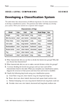 Developing a Classification System