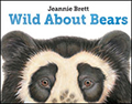 Wild About Bears