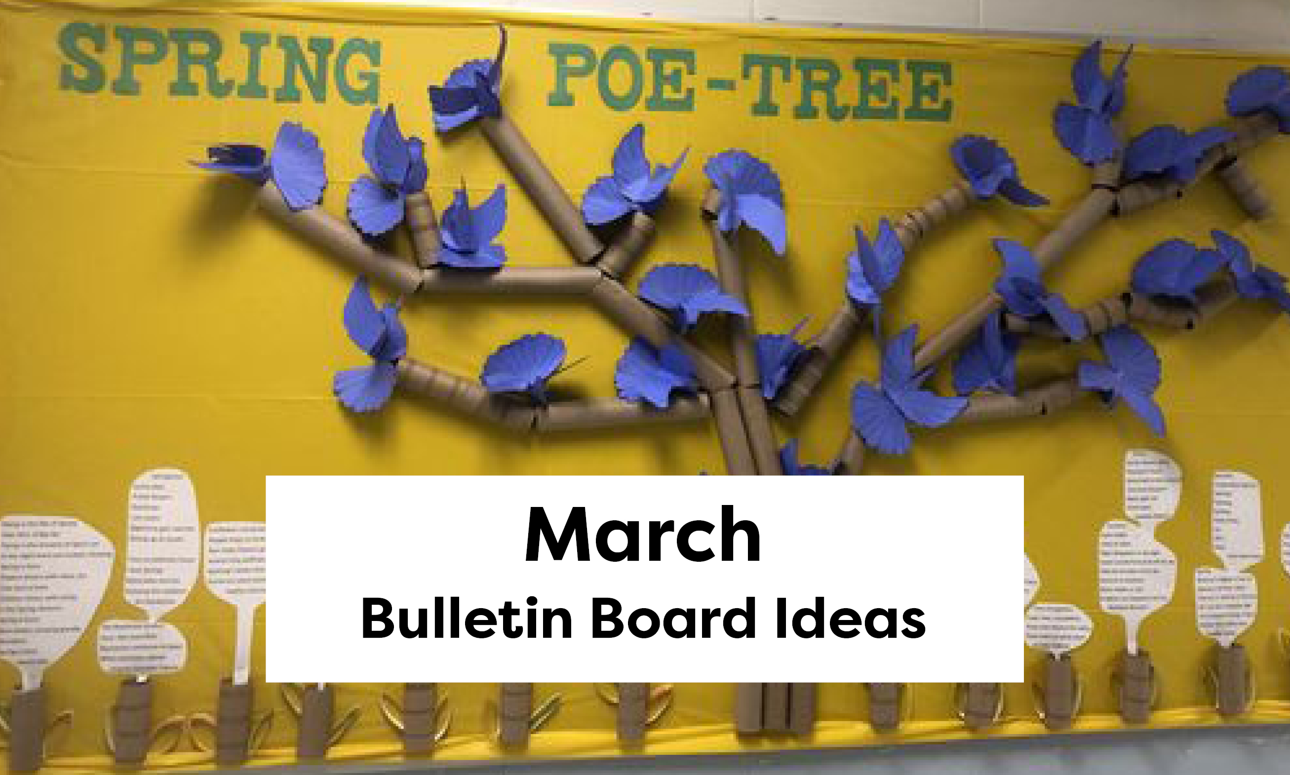 march bulletin board ideas