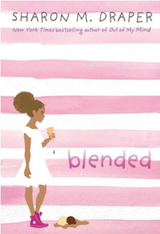 Blended - Reflection Learning Strategy 