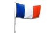 French Flag (Tricolore)
