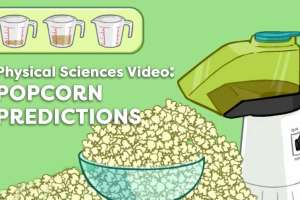 Popcorn Predictions Math Video