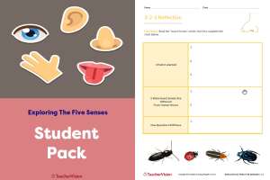 Student Pack - Exploring The Five Senses Project-Based Learning Lesson