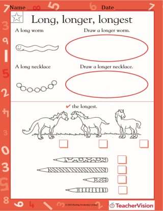 Long, Longer, Longest: Measuring Space and Estimating