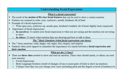 Understanding Facial Expressions in Autism - A Guide for Generalists