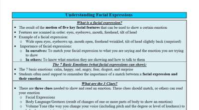 Facial Expressions Chart Autism