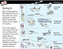 Ocean Zones Cover Image
