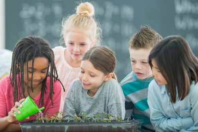 Students following rules