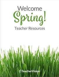 spring packet