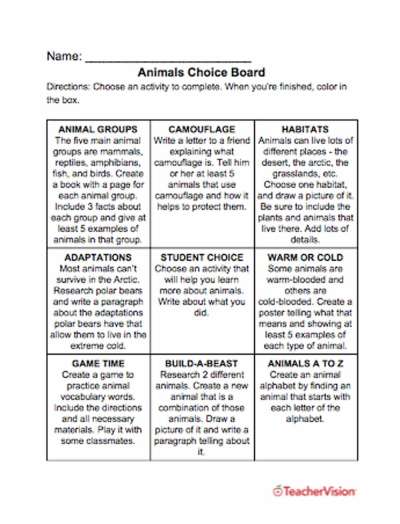 activities to support students to learn about animals