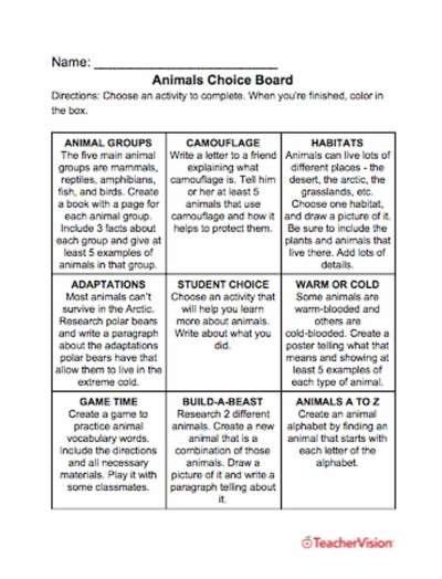 activities to support students to learn about animals 