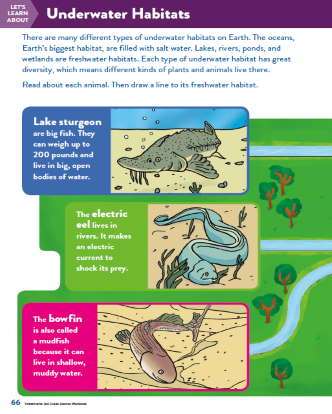 TinkerActive Science Activity Lesson: Underwater Habitats (Grade 2)
