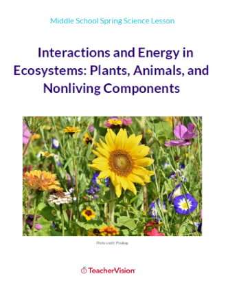 Interactions and Energy in Ecosystems 