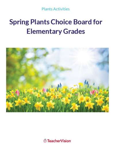 Spring Plants Choice Board for Elementary Grades