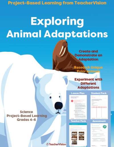 Exploring Animal Adaptations: Project-Based Learning from TeacherVision