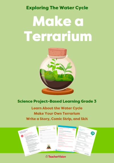 Make a Terrarium: Exploring the Water Cycle Project Based Learning Unit | TeacherVision