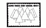 Tree Bulletin Board Example