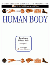 Eyewitness Human Body Printables