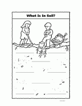What Is in Soil?