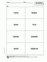 Plants: Vocabulary 1