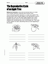 Science and Language Arts: The Reproductive Cycle of an Apple Tree