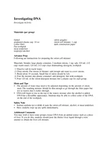 Investigate Activity: Investigating DNA