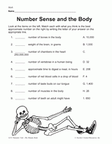 Number Sense and the Body