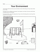 Your Environment