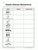 Reptile and Amphibian Classification Cards Printable (3rd - 5th Grade ...