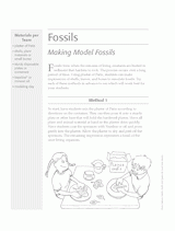 Making Model Fossils