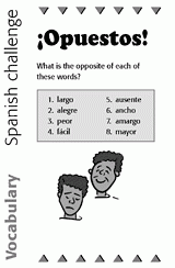 Spanish Vocabulary Challenge: Opposites II
