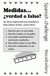 Spanish Vocabulary Challenge: True or False 2
