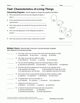 Plant Themed Lessons, Printables, & Resources for Teachers ...