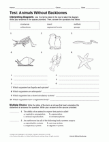Invertebrates - Life Science Printable Test (6th-12th Grade) - TeacherVision