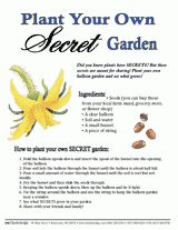 Plant Secrets Activities
