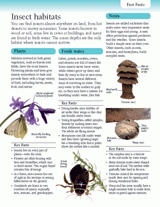 Insect Habitats (Grades 3-6)