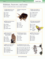 Insect Habitats, Burrows, and Nests Quiz