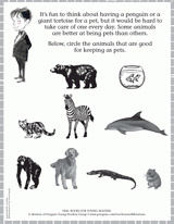 Which Animal Makes a Good Pet?