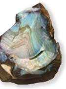 Instant Expert: Rocks and Minerals