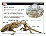 Fossils Mini-Lesson -- PowerPoint Slideshow
