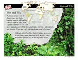 The Amazing Rain Forest Mini-Lesson — PowerPoint Slideshow