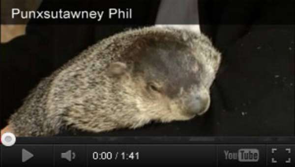 Groundhog Day Videos and Activities
