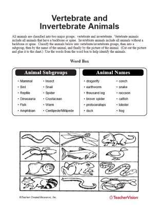 Vertebrate and Invertebrate Animals Printable (3rd - 5th Grade) -  TeacherVision