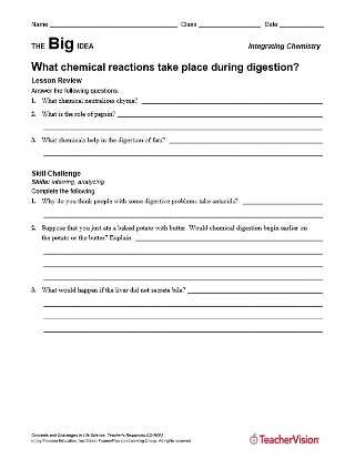 Chemical Reactions in the Human Body During Digestion