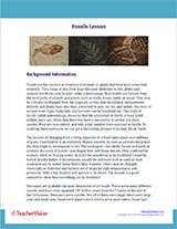 Fossils Background Information Worksheet