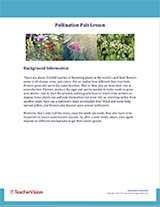 Pollination Pals Background Information Cover