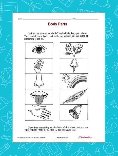 Matching Game Printable - Body Parts