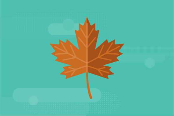 Native American Heritage Month Activities for Elementary Students