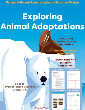 Exploring Animal Adaptations: Project-Based Learning from TeacherVision
