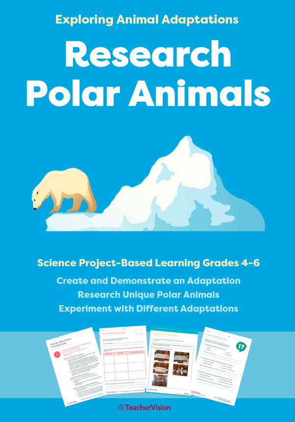 Research Polar Animals: Exploring Animal Adaptations Project-Based Learning Unit
